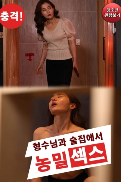 Buổi Gặp Mặt Với Em Gái Kế Xinh Đẹp (충격! 형수님과 술집에서 농밀섹스)