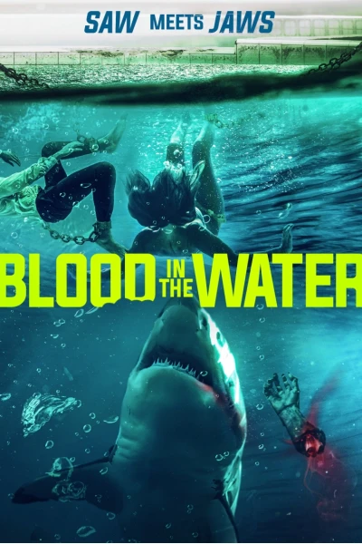 Cá Mập Dưới Nước (Blood in the Water)