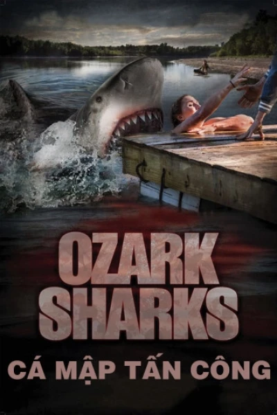 Cá Mập Tấn Công (Summer Shark Attack)
