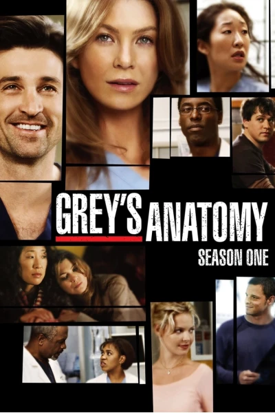 Ca Phẫu Thuật Của Grey (Phần 1) (Grey's Anatomy (Season 1))