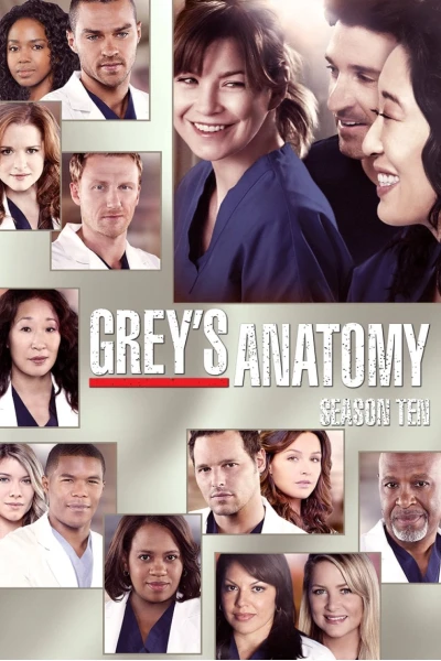 Ca Phẫu Thuật Của Grey (Phần 10) (Grey's Anatomy (Season 10))