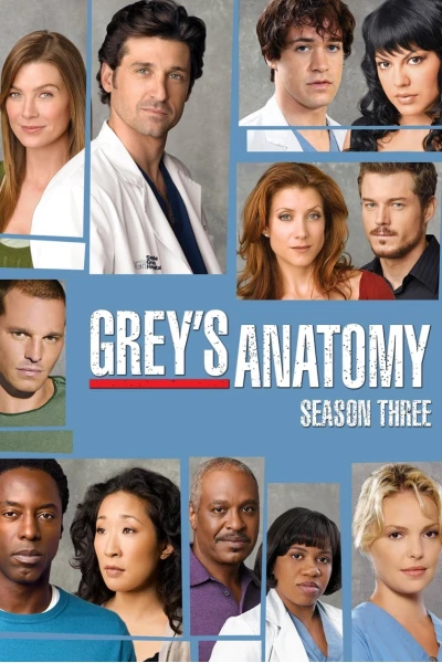 Ca Phẫu Thuật Của Grey (Phần 3) (Grey's Anatomy (Season 3))