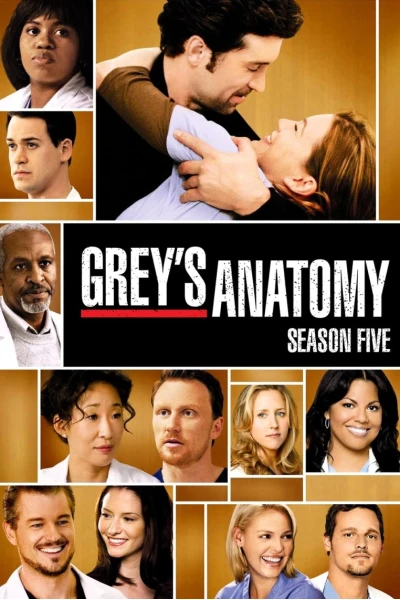 Ca Phẫu Thuật Của Grey (Phần 5) (Grey's Anatomy (Season 5))