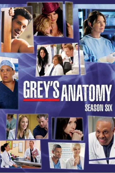 Ca Phẫu Thuật Của Grey (Phần 6) (Grey's Anatomy (Season 6))