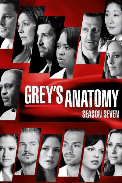 Ca Phẫu Thuật Của Grey (Phần 7) (Grey's Anatomy (Season 7))