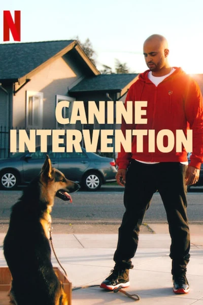 Cali K9: Trường huấn khuyển (Canine Intervention)