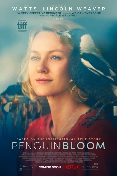 Cánh Cụt nhà Bloom (Penguin Bloom)