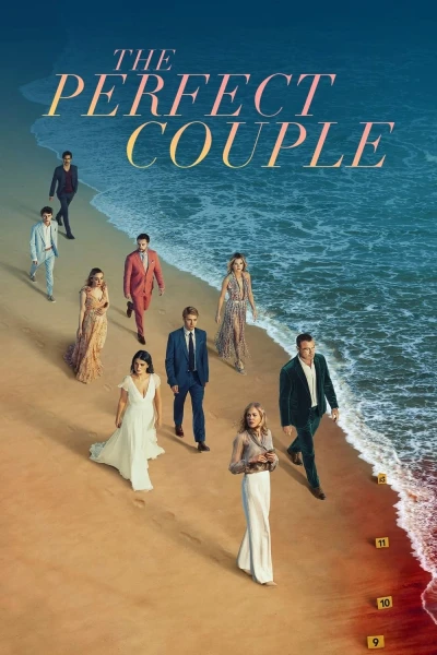 Cặp đôi hoàn hảo (The Perfect Couple)