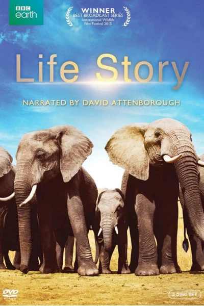 Câu Chuyện Cuộc Sống (Life Story)