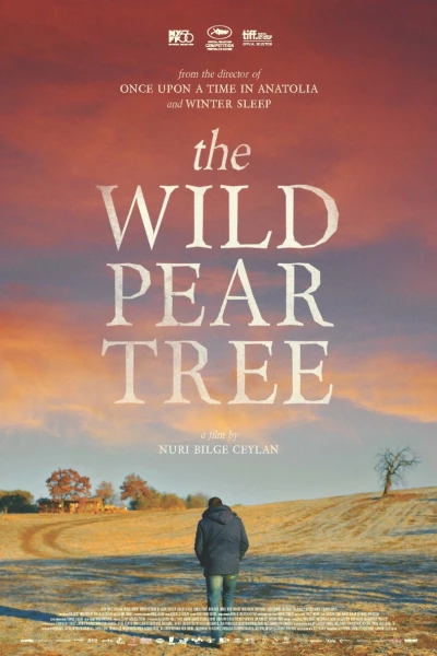 Cây Lê Dại (The Wild Pear Tree)