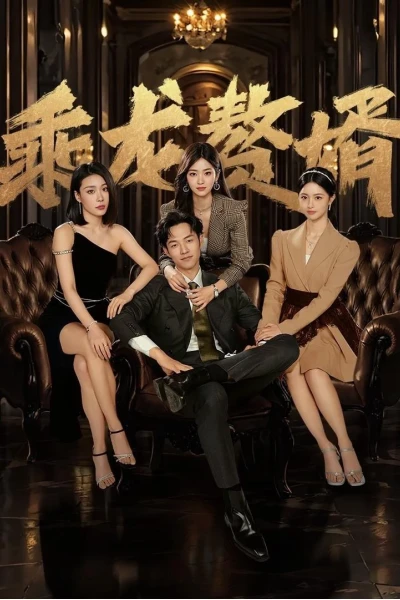 Chàng Rể Tài Ba (The Best Man)
