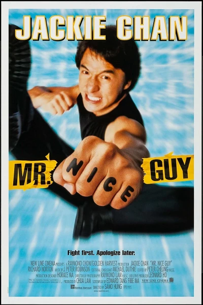 Chàng Trai Tốt Bụng (Mr. Nice Guy)