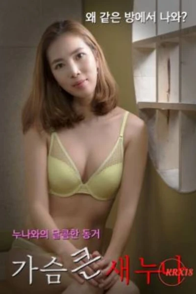Chị Hàng Xóm Vú To (가슴 큰 새누나)