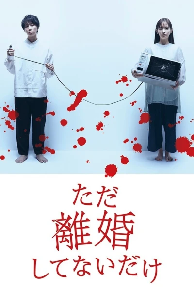 Chỉ Là Không Ly Hôn (We Are Just Not Divorced)