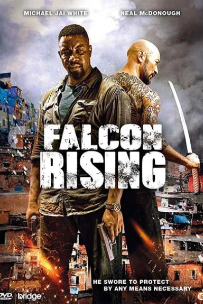 Chim Ưng Trỗi Dậy (Falcon Rising)