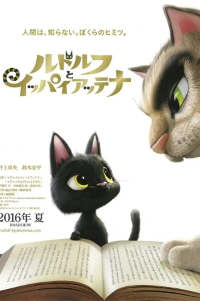Chú Mèo Đi Lạc (Rudolf the Black Cat)