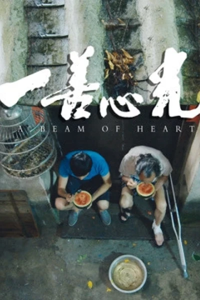Chùm sáng của trái tim (Beam of Heart)