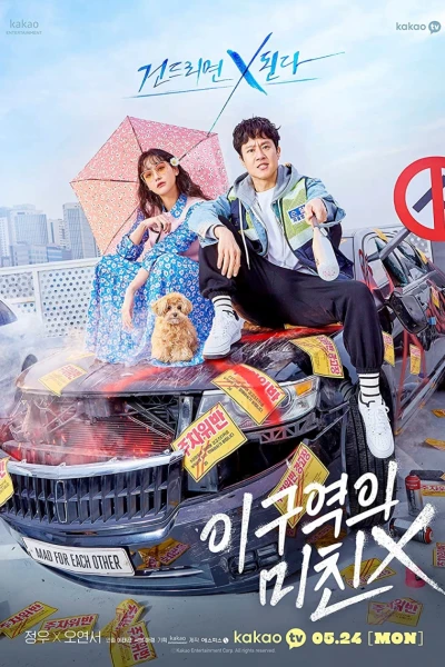 Có điên mới yêu (Mad for Each Other)