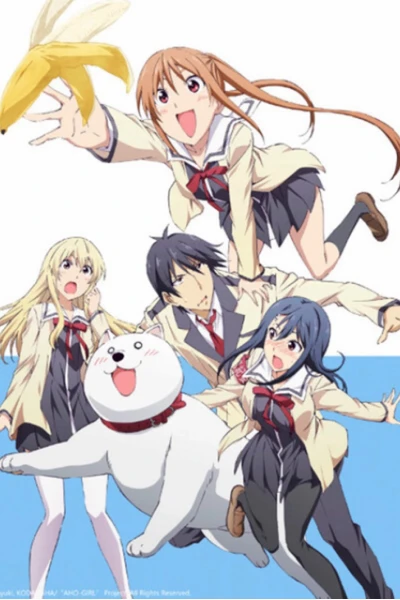 Cô Nàng Ngốc - Aho Girl