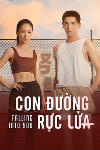 Con Đường Rực Lửa (Agneepath)