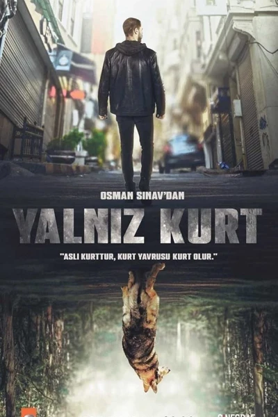 Con Sói Cô Độc (Yalnız Kurt)
