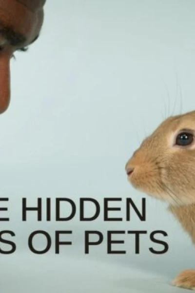 Cuộc sống bí mật của thú cưng (The Hidden Lives of Pets)