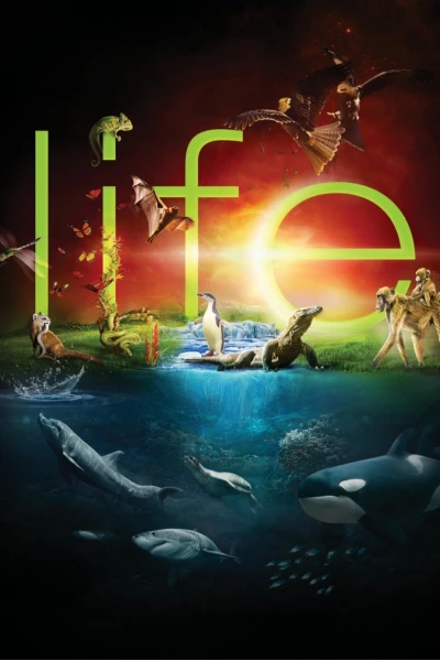 Cuộc Sống Hoang Dã (BBC: Life)