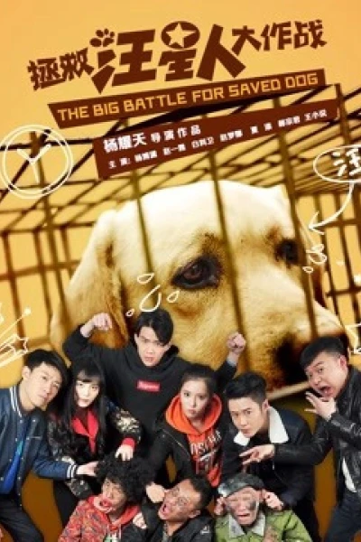 Cứu chó (Save Dogs)