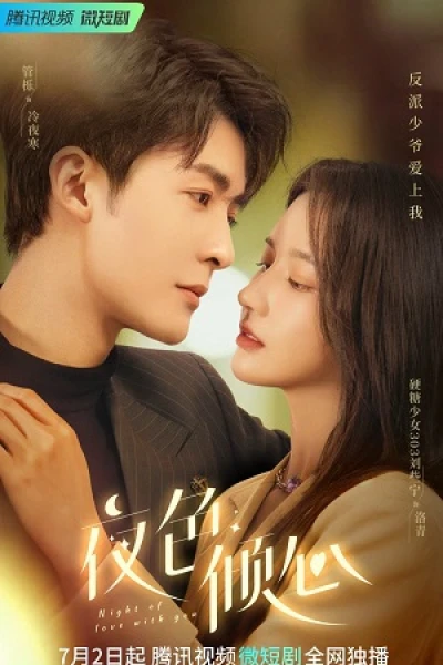 Dạ Sắc Khuynh Tâm (Night of Love With You)