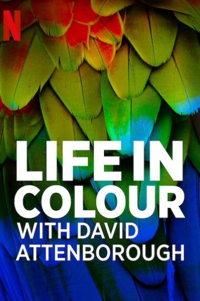 David Attenborough: Sự sống đầy màu sắc (Life in Colour with David Attenborough)