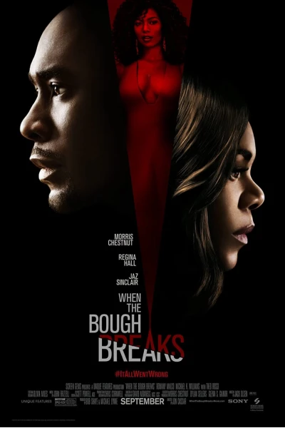 Đẻ thuê (When the Bough Breaks)