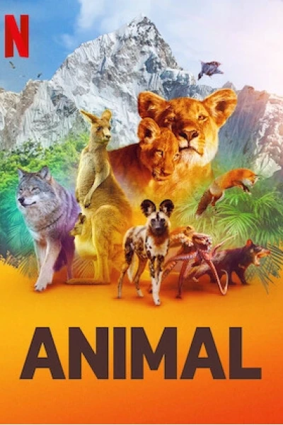 Động vật (Phần 1) (Animal (Season 1))