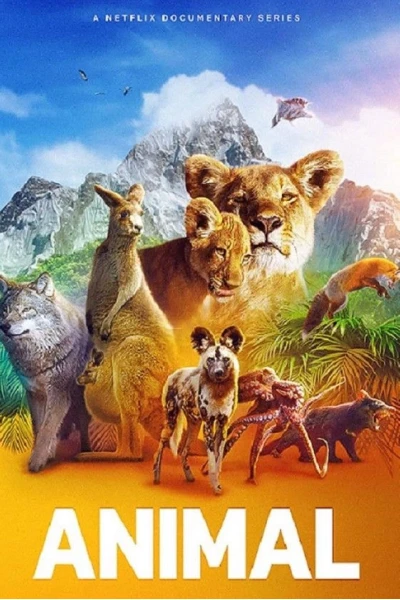 Động vật (Phần 2) (Animal (Season 2))