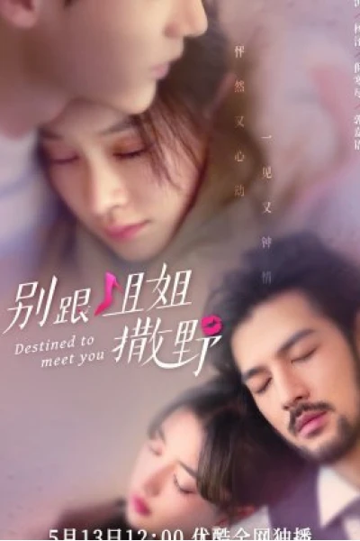 Đừng Nhờn Với Chị (Destined to Meet You)