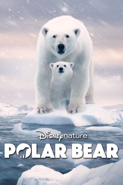 Gấu Bắc Cực (Polar Bear)