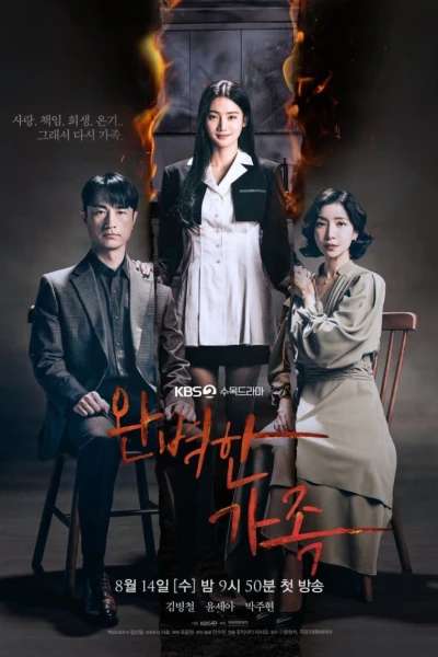 Gia Đình Hoàn Hảo (Perfect Family)