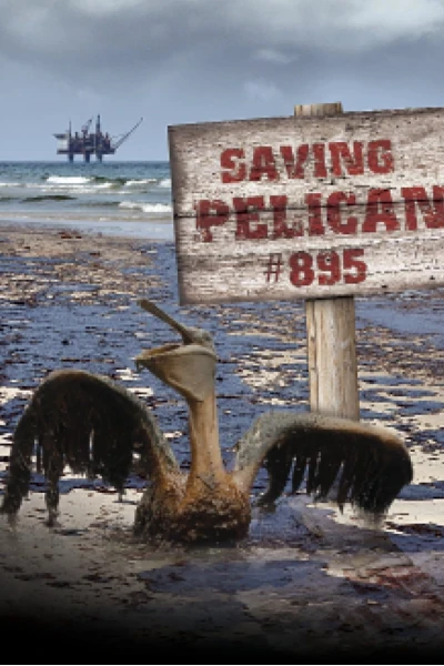 Giải Cứu Chú Bồ Nông Thứ 895 (Saving Pelican 895)