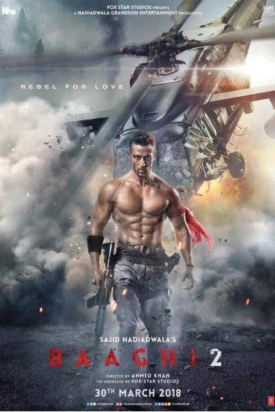 Giải Cứu Người Đẹp 2 (Baaghi 2)