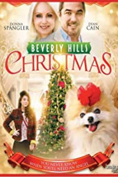 Giáng Sinh Ở Beverly Hills (Beverly Hills Christmas)