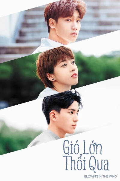 Gió Lớn Thổi Qua (Blowing in the Wind)