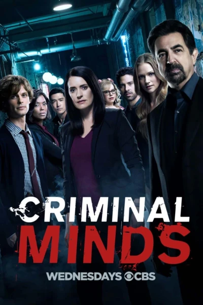 Tâm Lý Tội Phạm (Phần 13) (Criminal Minds (Season 13))