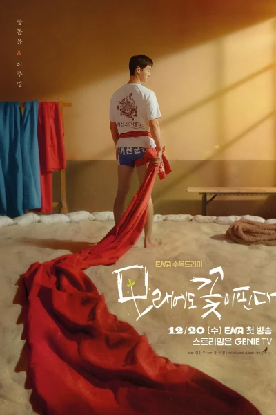 Hoa Nở Trên Cát (The Sand Flower)