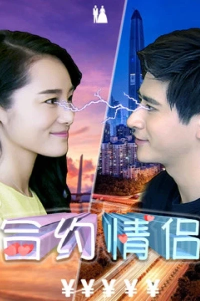 Hợp đồng tình nhân (Rented Boyfriend)