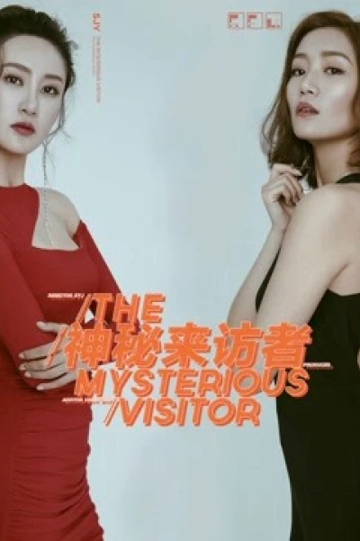 Khách bí ẩn (Mysterious visitor)