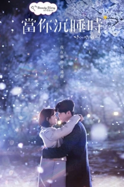 Khi Nàng Say Giấc (while you were sleeping)