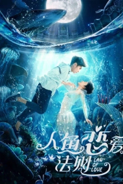 Khi Người Cá Yêu (The Rules of Love)