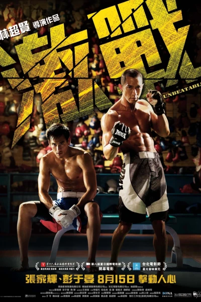 Kích Chiến (Fighting 2015)