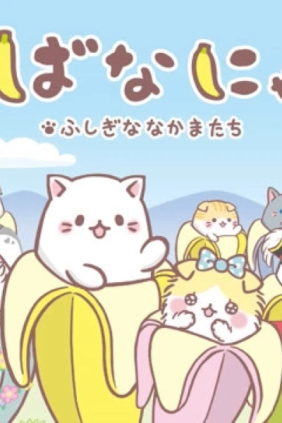Mèo Chuối Tiêu Người Bạn Kì Diệu (Bananya and the Curious Bunch)