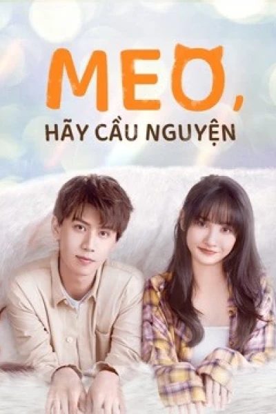 Meo, Hãy Cầu Nguyện (Make a wish)