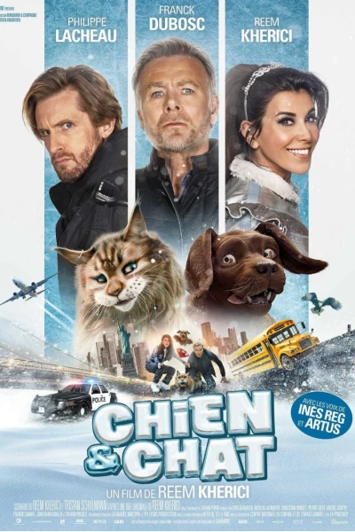 Mèo và Chó (Cat and Dog)